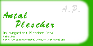 antal plescher business card